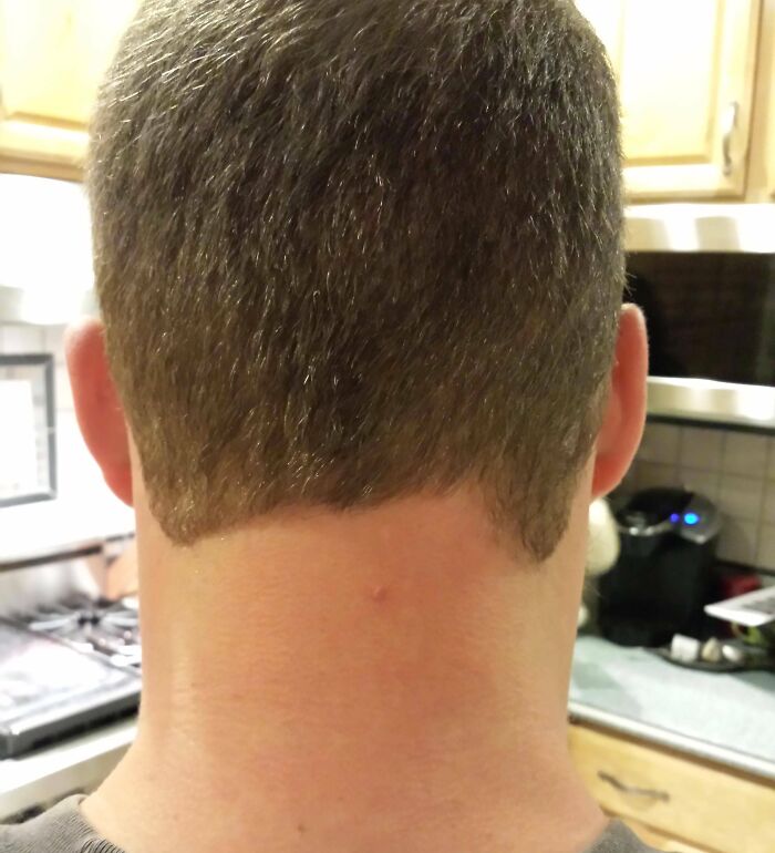 Some Hairdressers Should Have Their Licenses Revoked, And These 56 Haircuts Prove That Some Hairdressers Should Have Their Licenses Revoked, And These 56 Haircuts Prove That