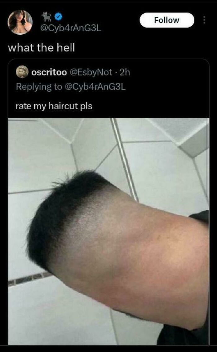 Some Hairdressers Should Have Their Licenses Revoked, And These 56 Haircuts Prove That Some Hairdressers Should Have Their Licenses Revoked, And These 56 Haircuts Prove That