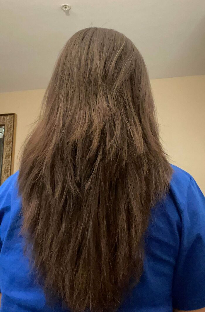 Some Hairdressers Should Have Their Licenses Revoked, And These 56 Haircuts Prove That Some Hairdressers Should Have Their Licenses Revoked, And These 56 Haircuts Prove That