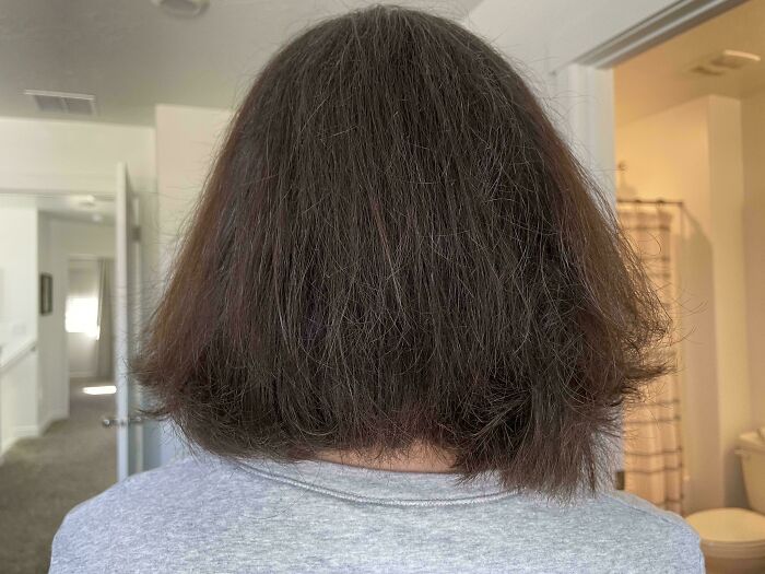 Some Hairdressers Should Have Their Licenses Revoked, And These 56 Haircuts Prove That Some Hairdressers Should Have Their Licenses Revoked, And These 56 Haircuts Prove That
