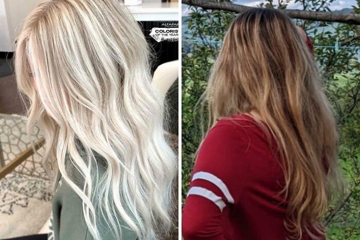 Some Hairdressers Should Have Their Licenses Revoked, And These 56 Haircuts Prove That Some Hairdressers Should Have Their Licenses Revoked, And These 56 Haircuts Prove That