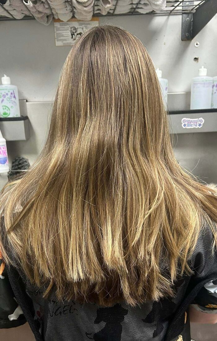 Some Hairdressers Should Have Their Licenses Revoked, And These 56 Haircuts Prove That Some Hairdressers Should Have Their Licenses Revoked, And These 56 Haircuts Prove That