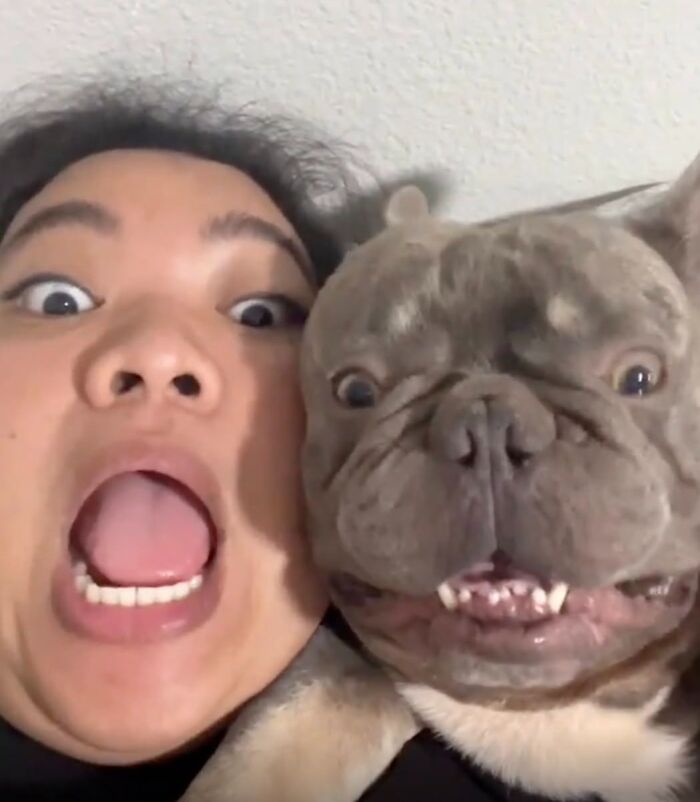 27 Cute And Funny Dog Pics Shared By “The Pet Collective” 27 Cute And Funny Dog Pics Shared By “The Pet Collective”