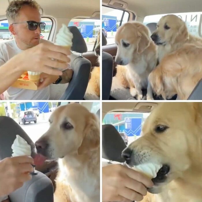 27 Cute And Funny Dog Pics Shared By “The Pet Collective” 27 Cute And Funny Dog Pics Shared By “The Pet Collective”