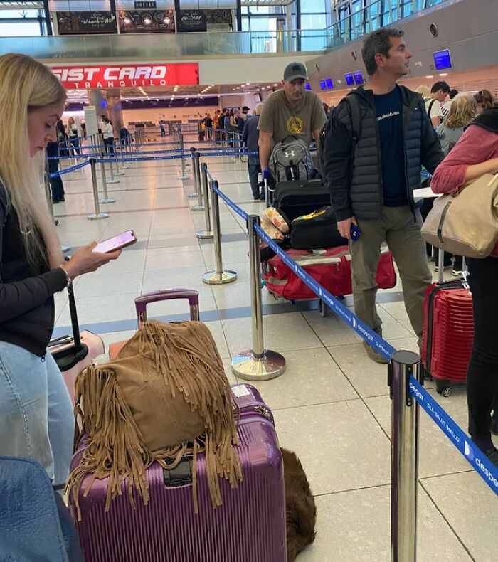 81 People Who Looked At Basic Human Decency And Decided It Wasn’t For Them