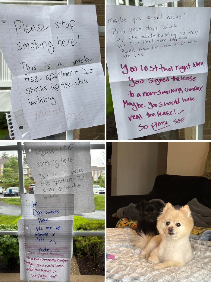 81 People Who Looked At Basic Human Decency And Decided It Wasn’t For Them