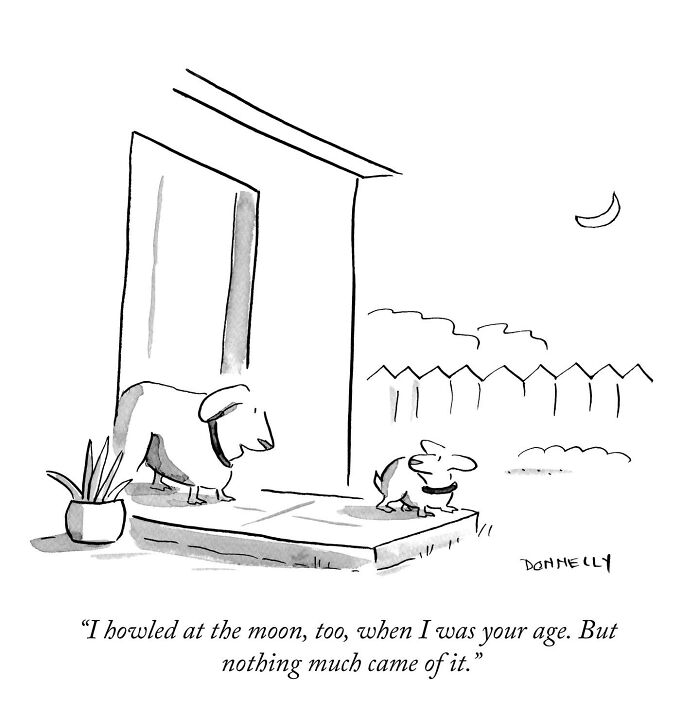 26 One-Panel Cartoons By Liza Donnelly That Make Funny And Thought-Provoking Observations About Today’s World 26 One-Panel Cartoons By Liza Donnelly That Make Funny And Thought-Provoking Observations About Today’s World