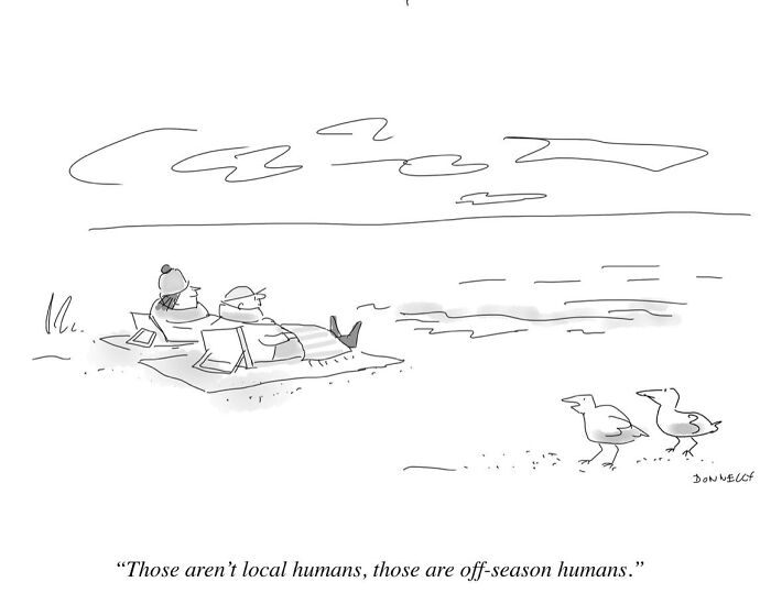 26 One-Panel Cartoons By Liza Donnelly That Make Funny And Thought-Provoking Observations About Today’s World 26 One-Panel Cartoons By Liza Donnelly That Make Funny And Thought-Provoking Observations About Today’s World