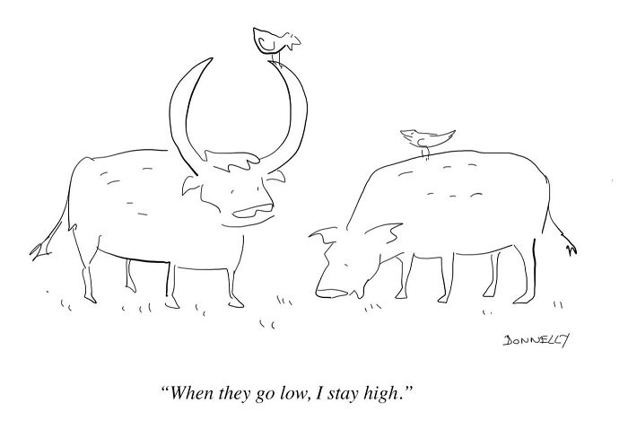 26 One-Panel Cartoons By Liza Donnelly That Make Funny And Thought-Provoking Observations About Today’s World 26 One-Panel Cartoons By Liza Donnelly That Make Funny And Thought-Provoking Observations About Today’s World