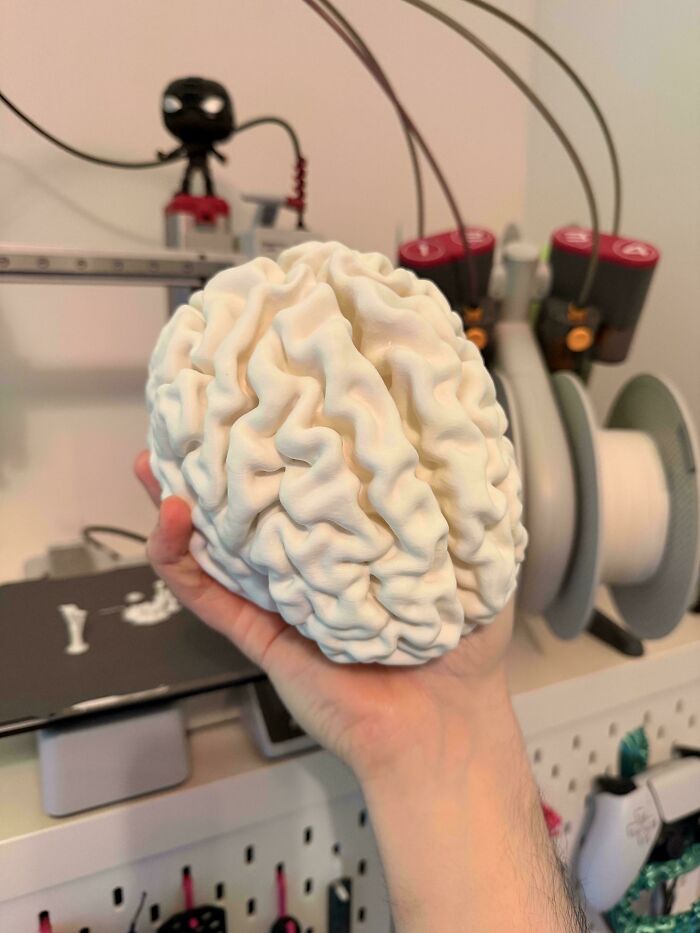 People Went Crazy With Their 3D Printers And Shared 54 Of Their Coolest Projects
