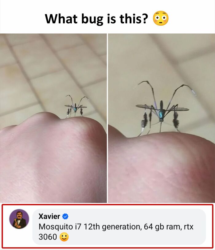 77 Hilarious Posts From ‘Xavier’ That Had The Internet In Stitches (New Pics)