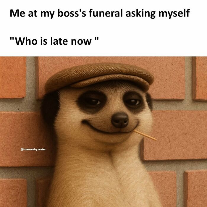 77 Hilarious Posts From ‘Xavier’ That Had The Internet In Stitches (New Pics)