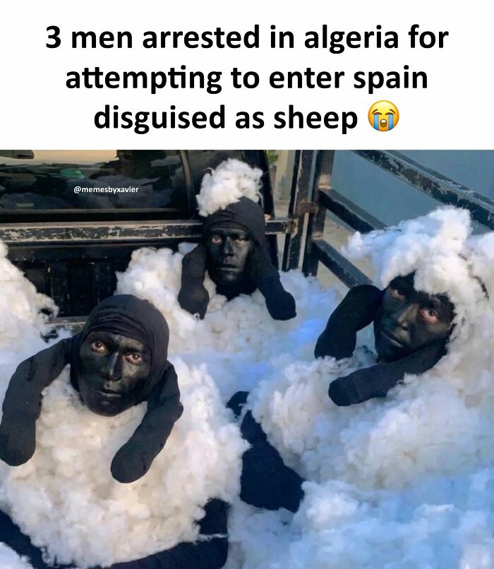 77 Hilarious Posts From ‘Xavier’ That Had The Internet In Stitches (New Pics)