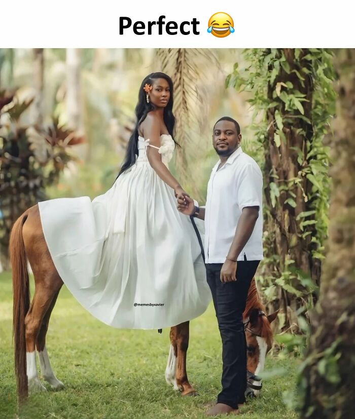 77 Hilarious Posts From ‘Xavier’ That Had The Internet In Stitches (New Pics)