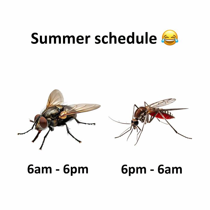 77 Hilarious Posts From ‘Xavier’ That Had The Internet In Stitches (New Pics)