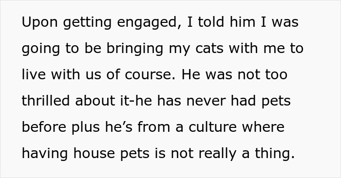 Bride-To-Be Questions Her Engagement After Fiancé Issues An Ultimatum About Her Cat Bride-To-Be Questions Her Engagement After Fiancé Issues An Ultimatum About Her Cat
