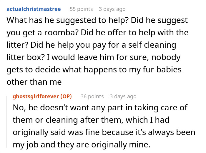 Bride-To-Be Questions Her Engagement After Fiancé Issues An Ultimatum About Her Cat Bride-To-Be Questions Her Engagement After Fiancé Issues An Ultimatum About Her Cat