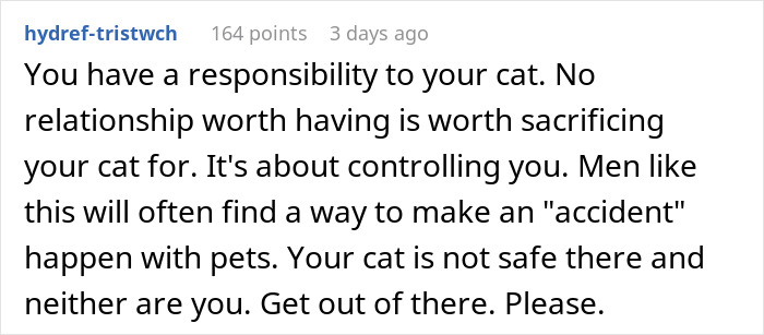 Bride-To-Be Questions Her Engagement After Fiancé Issues An Ultimatum About Her Cat Bride-To-Be Questions Her Engagement After Fiancé Issues An Ultimatum About Her Cat
