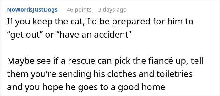 Bride-To-Be Questions Her Engagement After Fiancé Issues An Ultimatum About Her Cat Bride-To-Be Questions Her Engagement After Fiancé Issues An Ultimatum About Her Cat