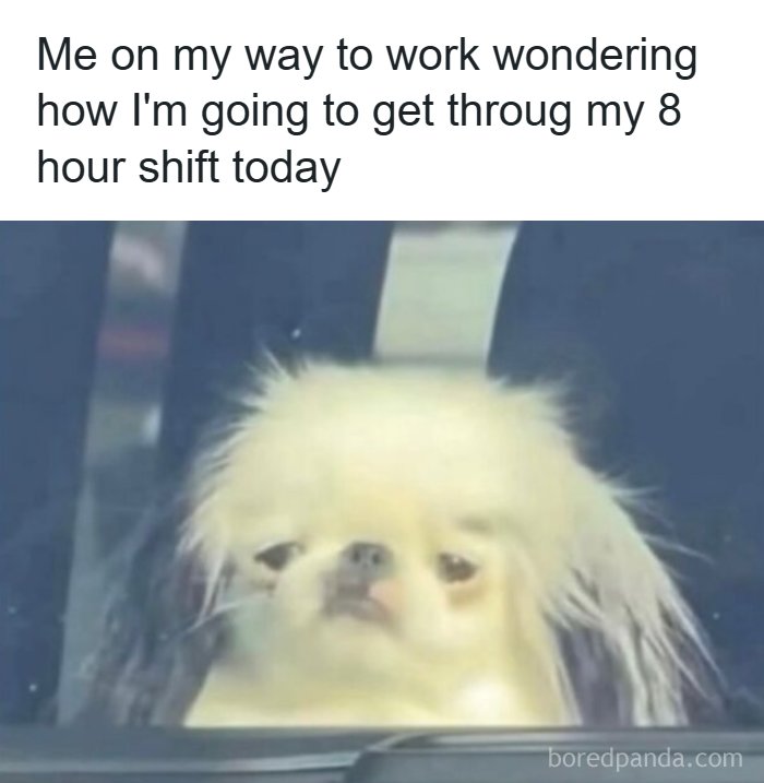 50 Hilarious Memes That You May Find Amusing Because Of How Totally Relatable They Are 50 Hilarious Memes That You May Find Amusing Because Of How Totally Relatable They Are