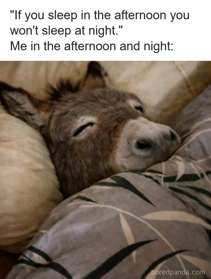 50 Hilarious Memes That You May Find Amusing Because Of How Totally Relatable They Are 50 Hilarious Memes That You May Find Amusing Because Of How Totally Relatable They Are
