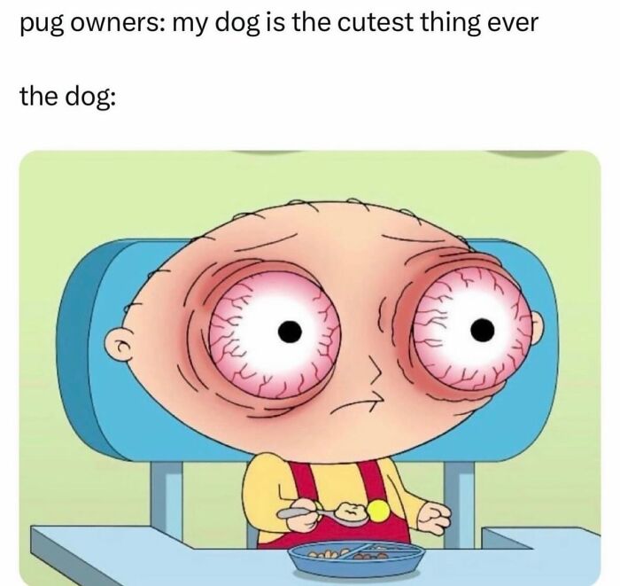 50 Hilarious Memes That You May Find Amusing Because Of How Totally Relatable They Are 50 Hilarious Memes That You May Find Amusing Because Of How Totally Relatable They Are