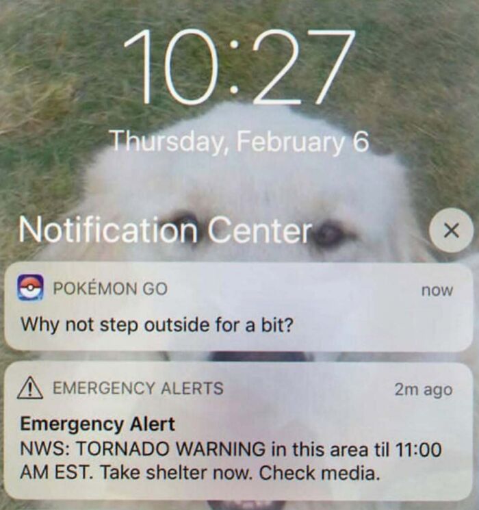 97 Funny Posts That Show Why Cringe Humor Has No Limits 97 Funny Posts That Show Why Cringe Humor Has No Limits