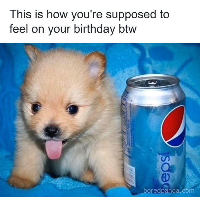 97 Funny Posts That Show Why Cringe Humor Has No Limits 97 Funny Posts That Show Why Cringe Humor Has No Limits