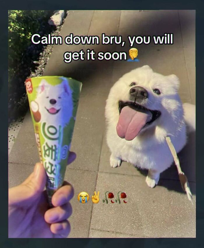 97 Funny Posts That Show Why Cringe Humor Has No Limits 97 Funny Posts That Show Why Cringe Humor Has No Limits