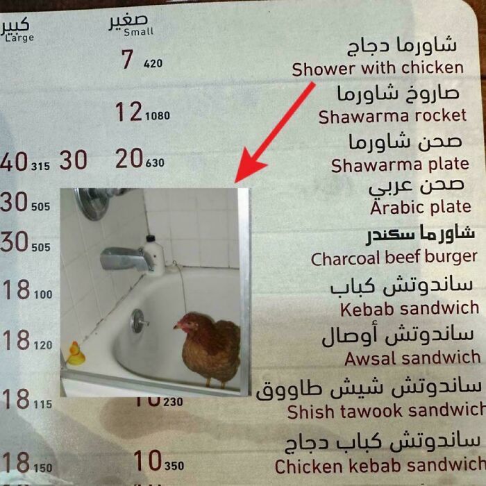 85 Bewildering “Engrish” Mishaps That Prove Google Translate Cannot Be Trusted (New Pics) 85 Bewildering “Engrish” Mishaps That Prove Google Translate Cannot Be Trusted (New Pics)