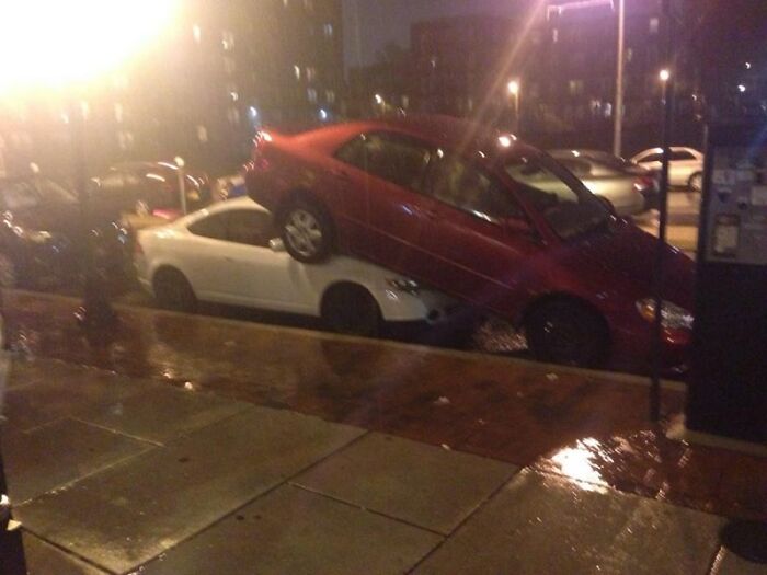 92 Pictures Of People Who Probably Shouldn’t Have A License: “Can’t Park There Mate” 92 Pictures Of People Who Probably Shouldn’t Have A License: “Can’t Park There Mate”