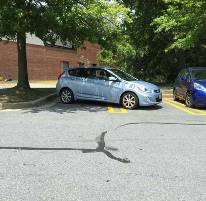 92 Pictures Of People Who Probably Shouldn’t Have A License: “Can’t Park There Mate” 92 Pictures Of People Who Probably Shouldn’t Have A License: “Can’t Park There Mate”