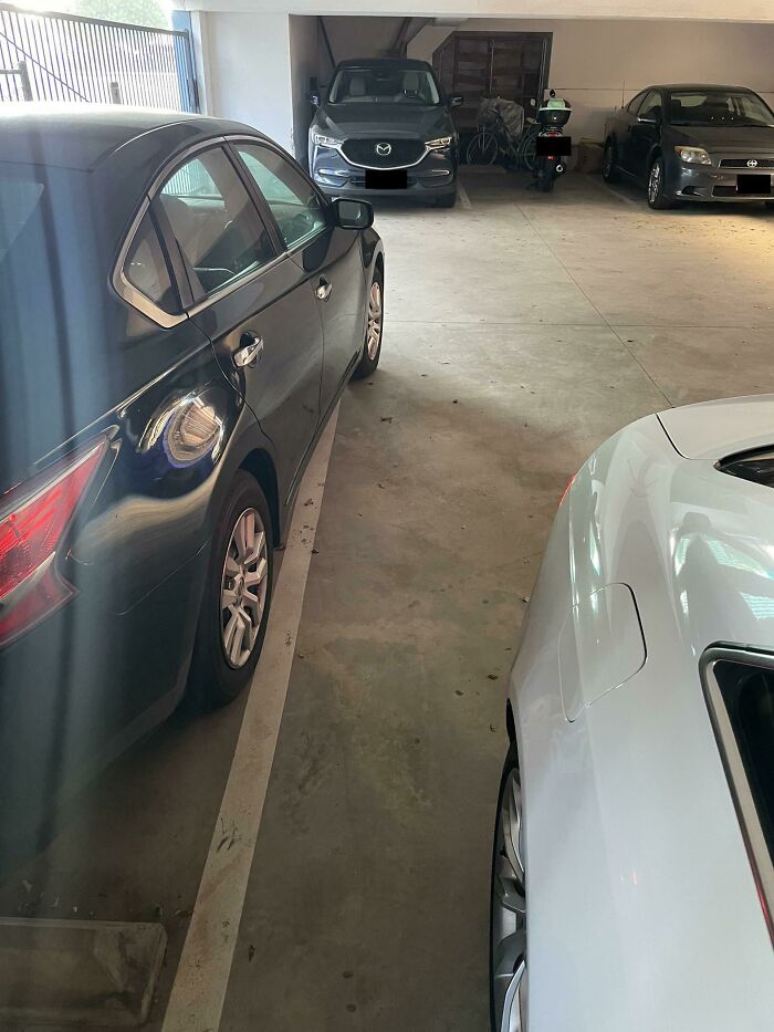 92 Pictures Of People Who Probably Shouldn’t Have A License: “Can’t Park There Mate” 92 Pictures Of People Who Probably Shouldn’t Have A License: “Can’t Park There Mate”
