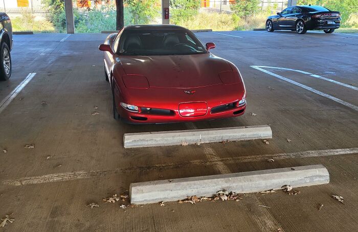 92 Pictures Of People Who Probably Shouldn’t Have A License: “Can’t Park There Mate” 92 Pictures Of People Who Probably Shouldn’t Have A License: “Can’t Park There Mate”