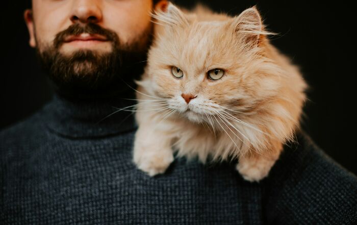 53 Times People Heard Such Brilliant And Bizarre Pet Names That They Just Had To Share 53 Times People Heard Such Brilliant And Bizarre Pet Names That They Just Had To Share
