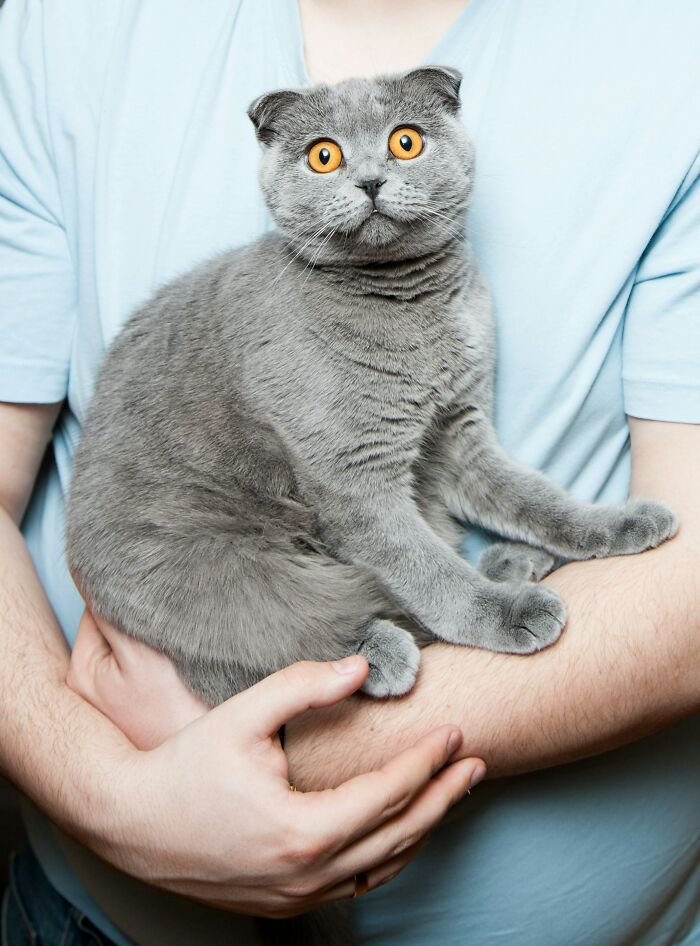 53 Times People Heard Such Brilliant And Bizarre Pet Names That They Just Had To Share 53 Times People Heard Such Brilliant And Bizarre Pet Names That They Just Had To Share