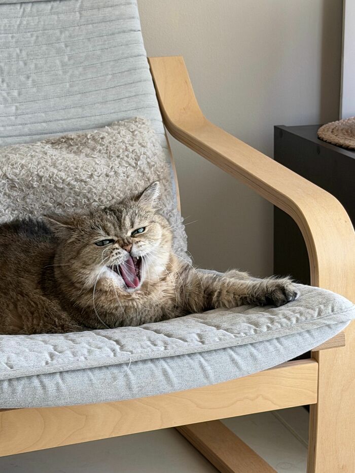 53 Times People Heard Such Brilliant And Bizarre Pet Names That They Just Had To Share 53 Times People Heard Such Brilliant And Bizarre Pet Names That They Just Had To Share