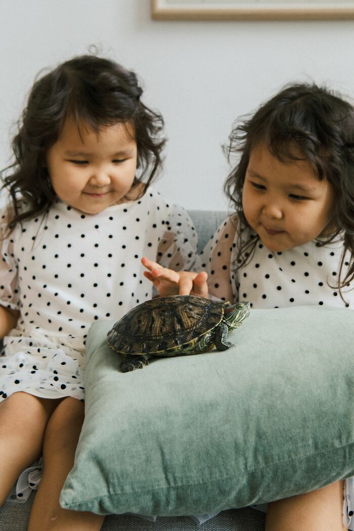 53 Times People Heard Such Brilliant And Bizarre Pet Names That They Just Had To Share 53 Times People Heard Such Brilliant And Bizarre Pet Names That They Just Had To Share