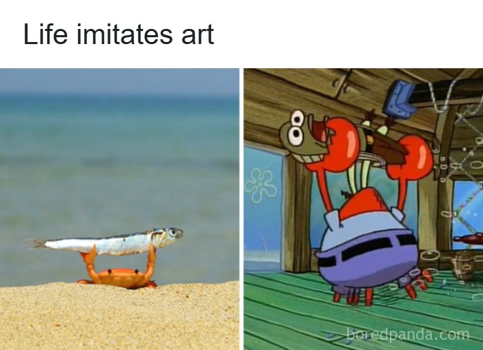 111 Of The Funniest Pop Culture Posts You Can Send To Your Friends For Instant Good Vibes