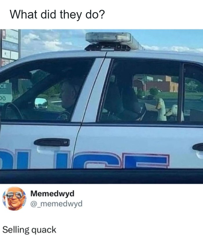 111 Of The Funniest Pop Culture Posts You Can Send To Your Friends For Instant Good Vibes