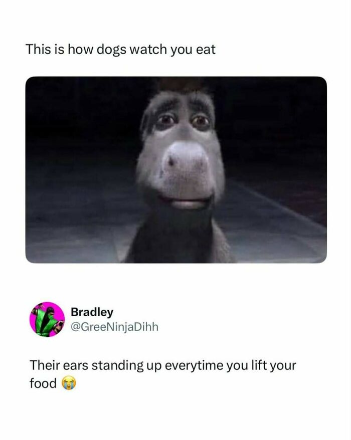 111 Of The Funniest Pop Culture Posts You Can Send To Your Friends For Instant Good Vibes