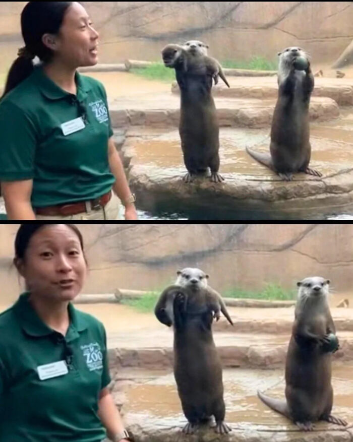 Laughing Is Good For Your Health So Here Are 50 Funny Memes To Help You With That