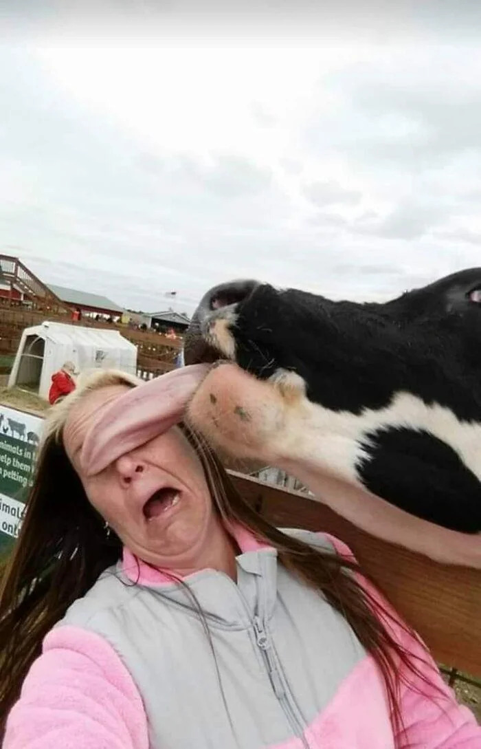 Laughing Is Good For Your Health So Here Are 50 Funny Memes To Help You With That