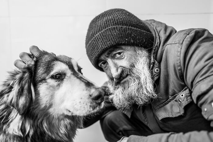 This Photographer Captures Istanbul’s Cats And Dogs As The Stars Of City Life (34 Pics) This Photographer Captures Istanbul’s Cats And Dogs As The Stars Of City Life (34 Pics)