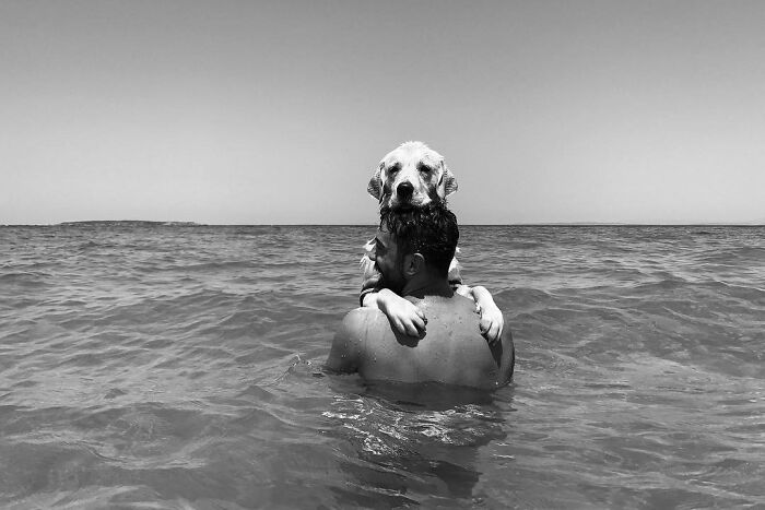 This Photographer Captures Istanbul’s Cats And Dogs As The Stars Of City Life (34 Pics) This Photographer Captures Istanbul’s Cats And Dogs As The Stars Of City Life (34 Pics)