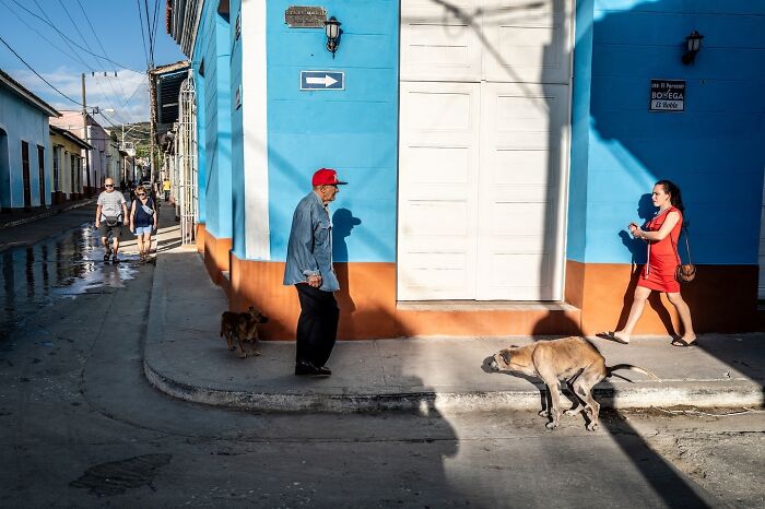 This Photographer Captures Istanbul’s Cats And Dogs As The Stars Of City Life (34 Pics) This Photographer Captures Istanbul’s Cats And Dogs As The Stars Of City Life (34 Pics)