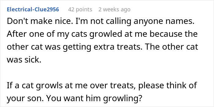 Woman Lets Her Husband Go Hard On His Ex-In-Laws After Her Son Starts Asking Painful Questions Woman Lets Her Husband Go Hard On His Ex-In-Laws After Her Son Starts Asking Painful Questions