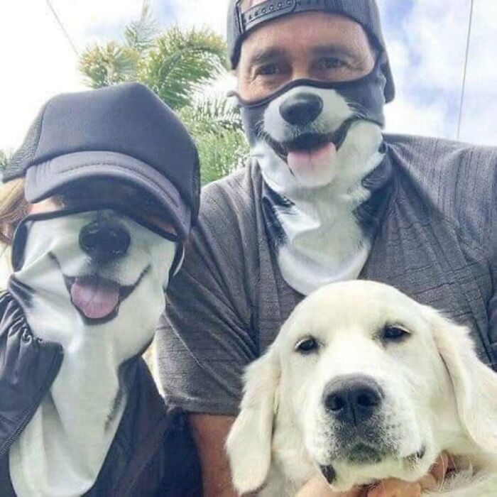 31 Animal Photos Shared By This Page That Are Equal Parts Adorable and Absurd 31 Animal Photos Shared By This Page That Are Equal Parts Adorable and Absurd