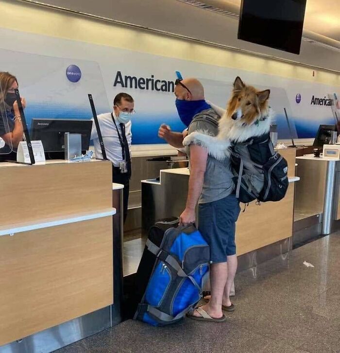 31 Animal Photos Shared By This Page That Are Equal Parts Adorable and Absurd 31 Animal Photos Shared By This Page That Are Equal Parts Adorable and Absurd