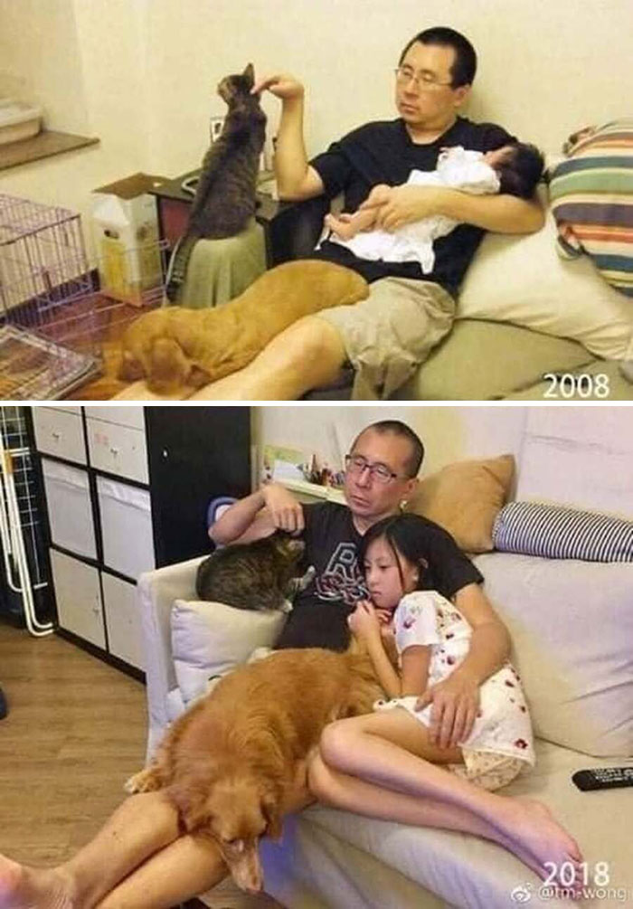 31 Animal Photos Shared By This Page That Are Equal Parts Adorable and Absurd 31 Animal Photos Shared By This Page That Are Equal Parts Adorable and Absurd